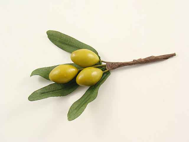 Composizione olive verdi 70308/green