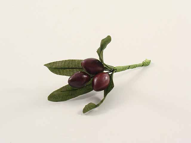 composizione olive viola 70308/purple