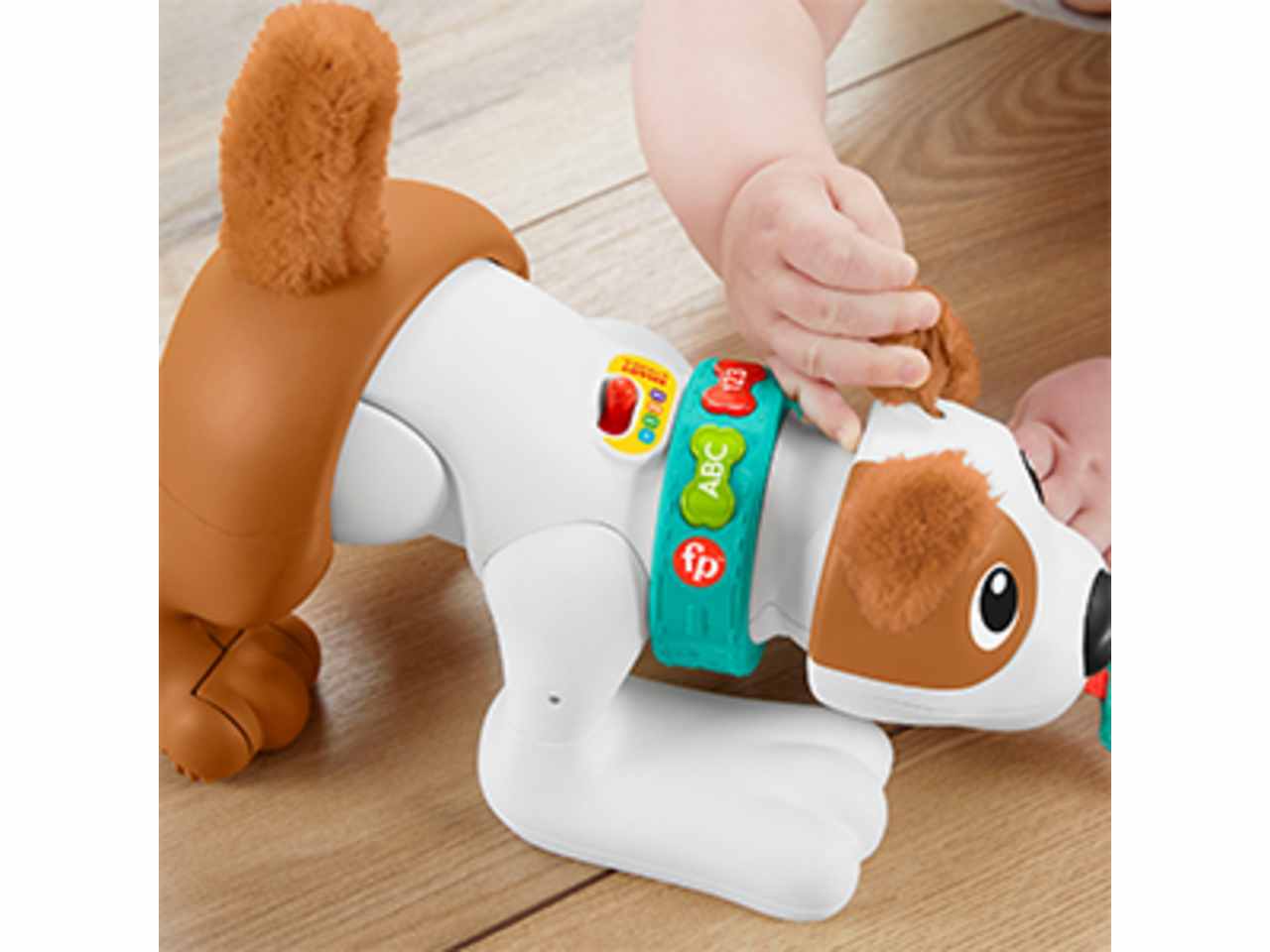 Fisher price 123 tobia gattona con me