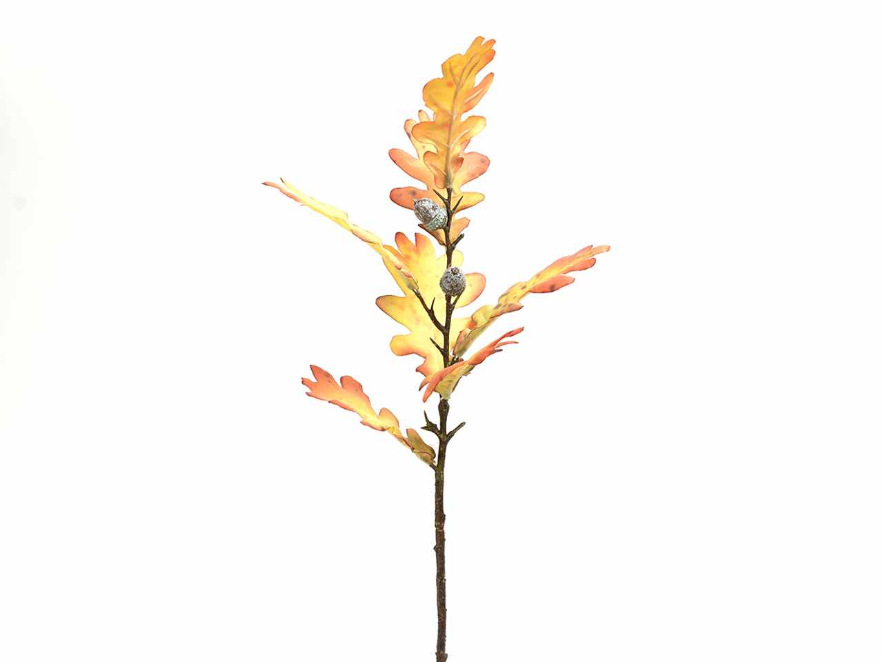 Quercia ramo con ghiande 49cm