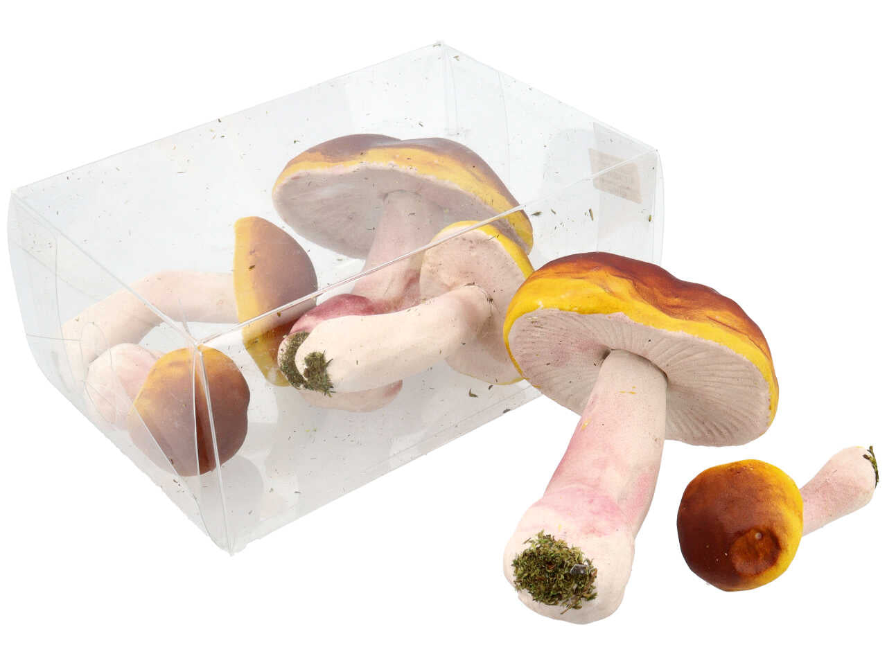 Funghi 6pezzi