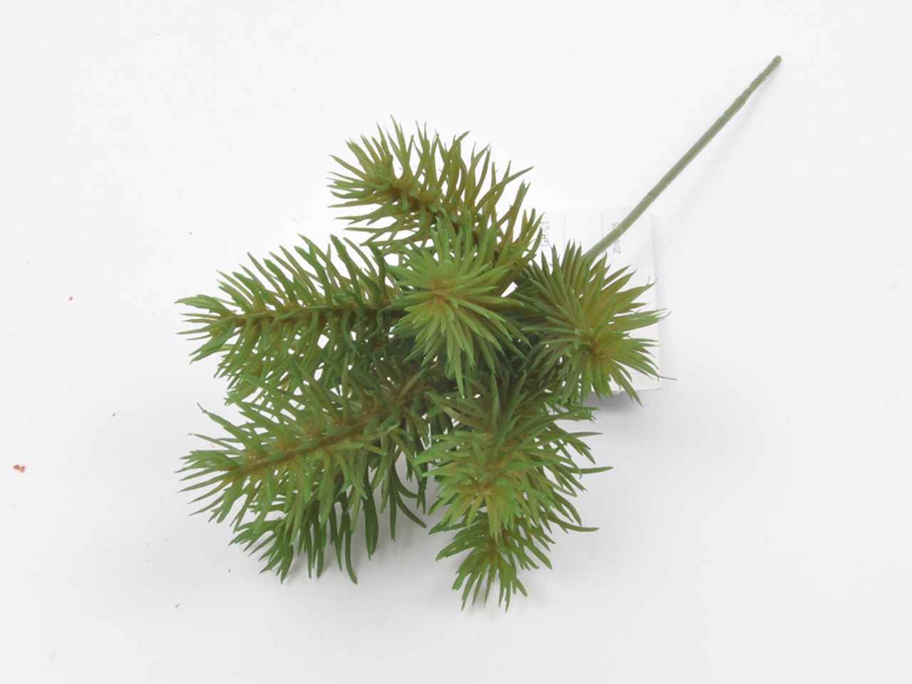 Abete pick 25cm 12pezzi