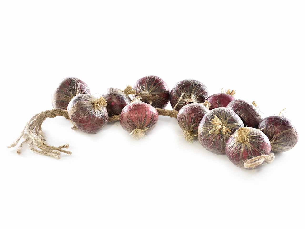 Cipolla in treccia x12 bordo