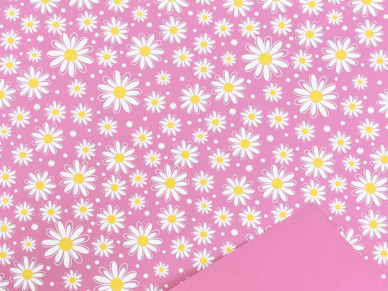 bobina daisy 1x25mt fucsia