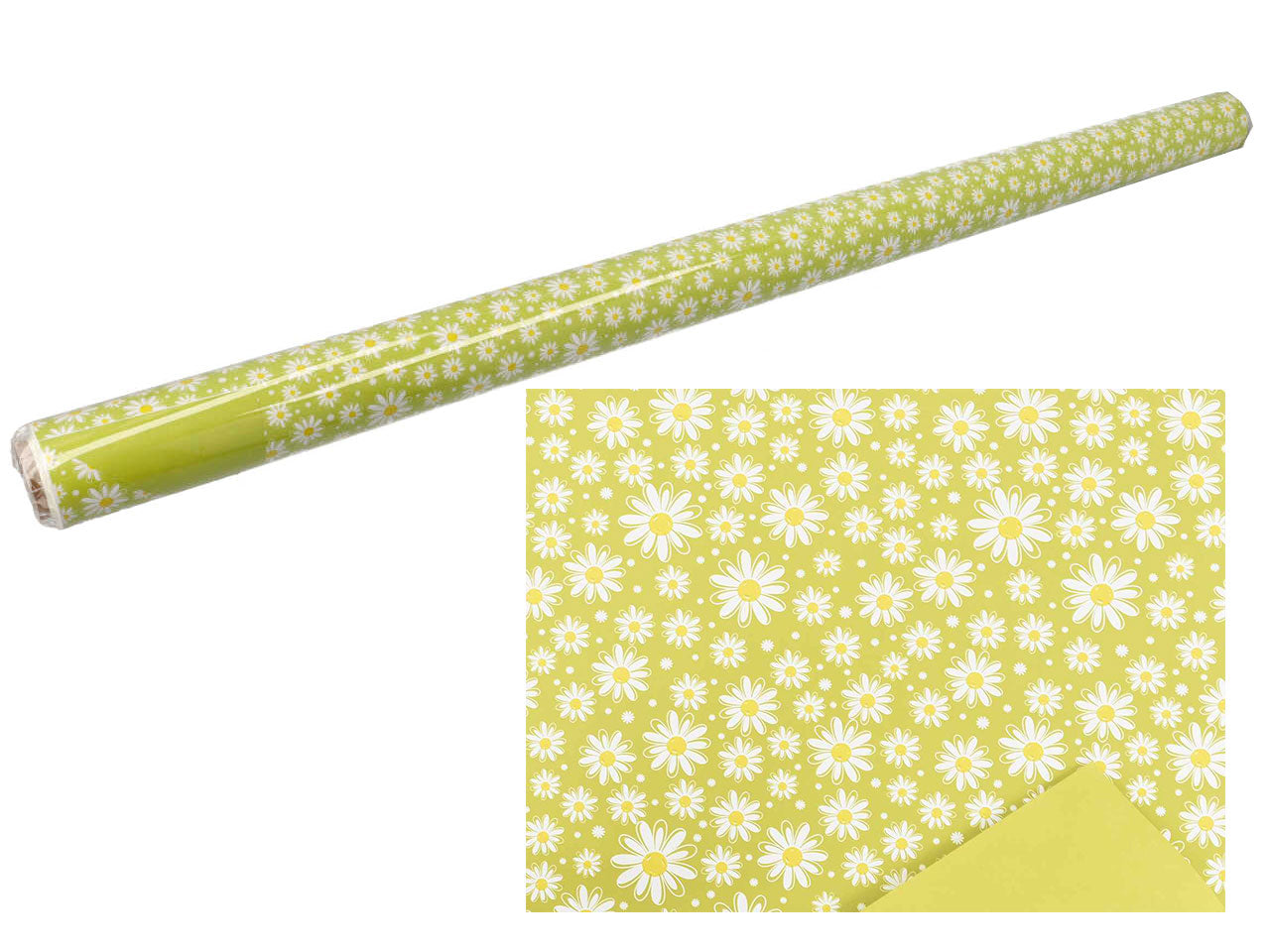 bobina daisy 1x25mt olivo
