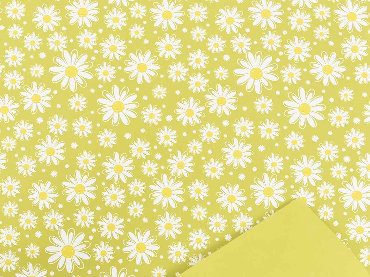 bobina daisy 1x25mt olivo