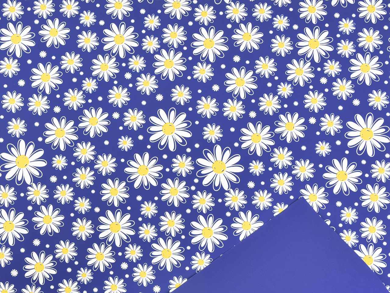 bobina daisy 1x25mt btu sc.