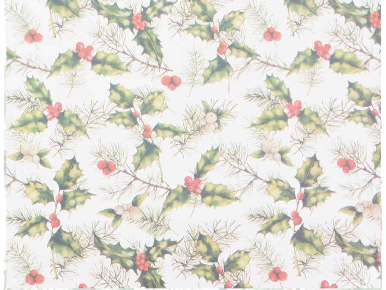 Bobina holly 1x50mt hol 001 150k
