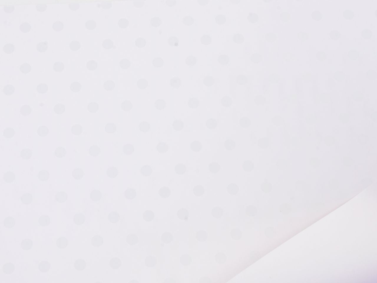 Bobina per confezionamento linea polka 1x25m colore bianco