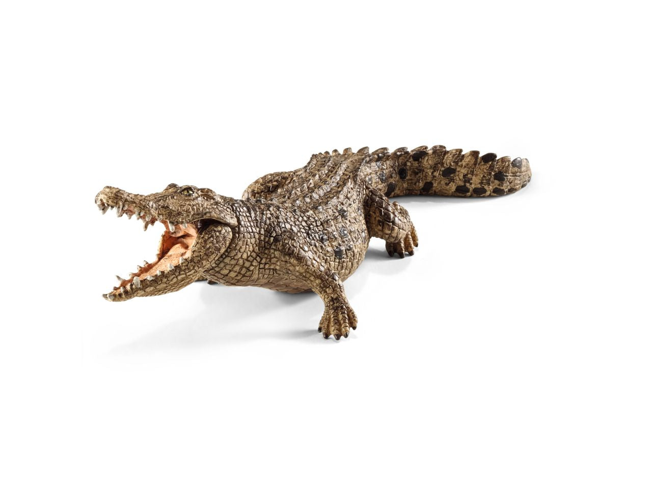 coccodrillo