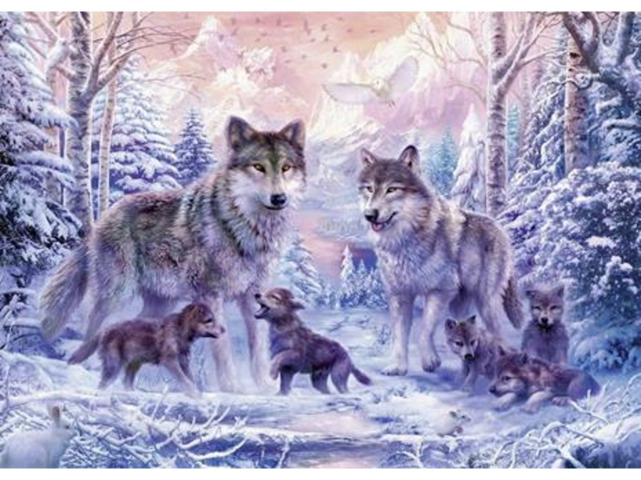 Puzzle 1000pz lupi artici 19146