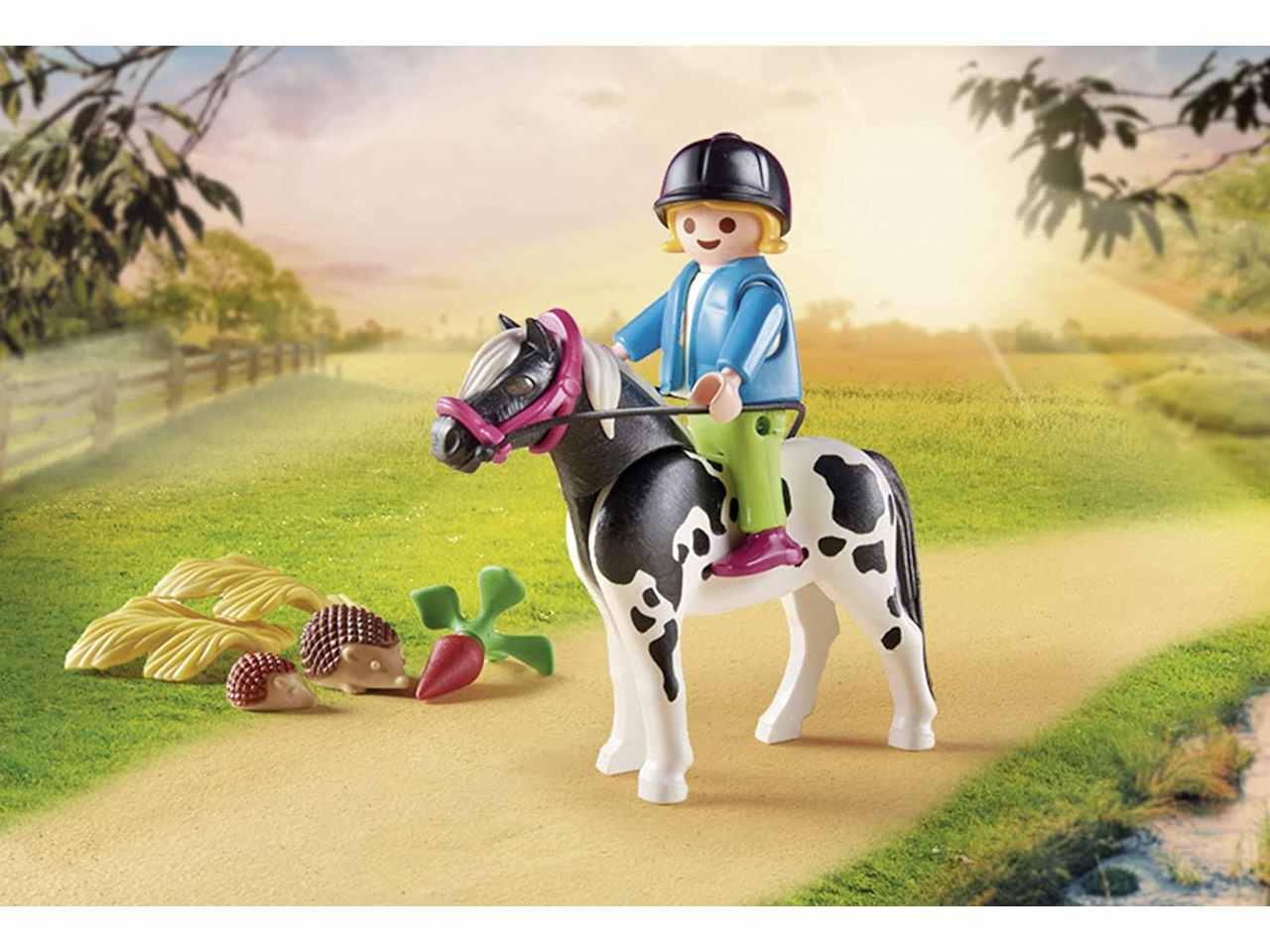 Playmobil carrozza con pony 70998