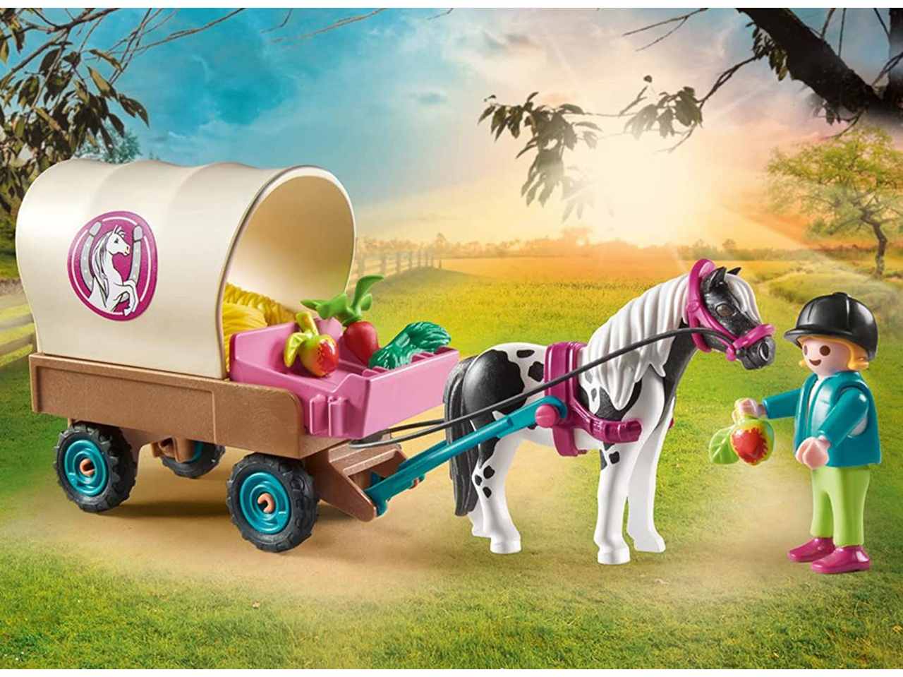 Playmobil carrozza con pony 70998