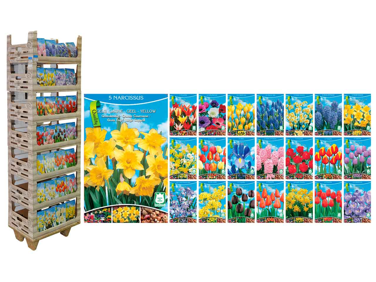 Bulbi fiori assortiti jl2000010