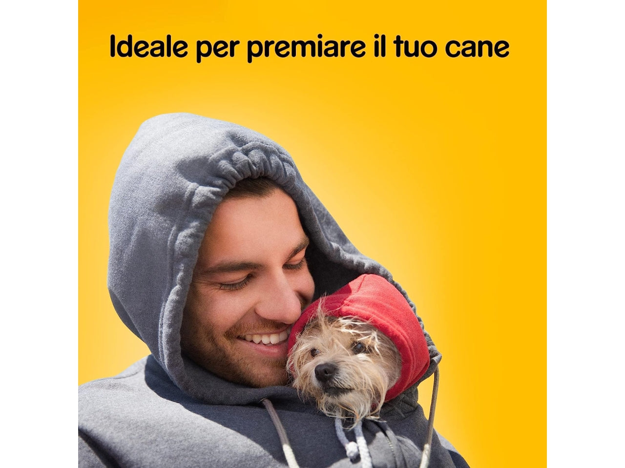 Pedigree biscotti markies 500 grammi