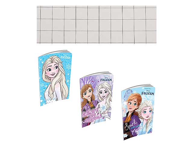 quaderno a quadretti maxi frozen 10m colori assortiti 210x297 mm