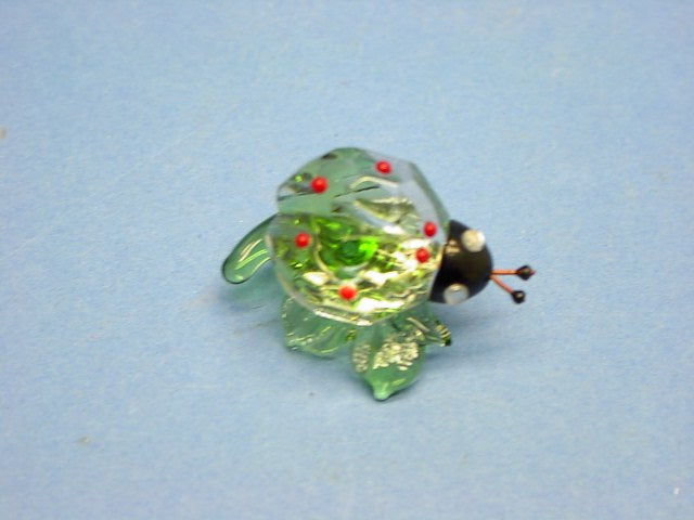 coccinella linea fortuna rosa c06
