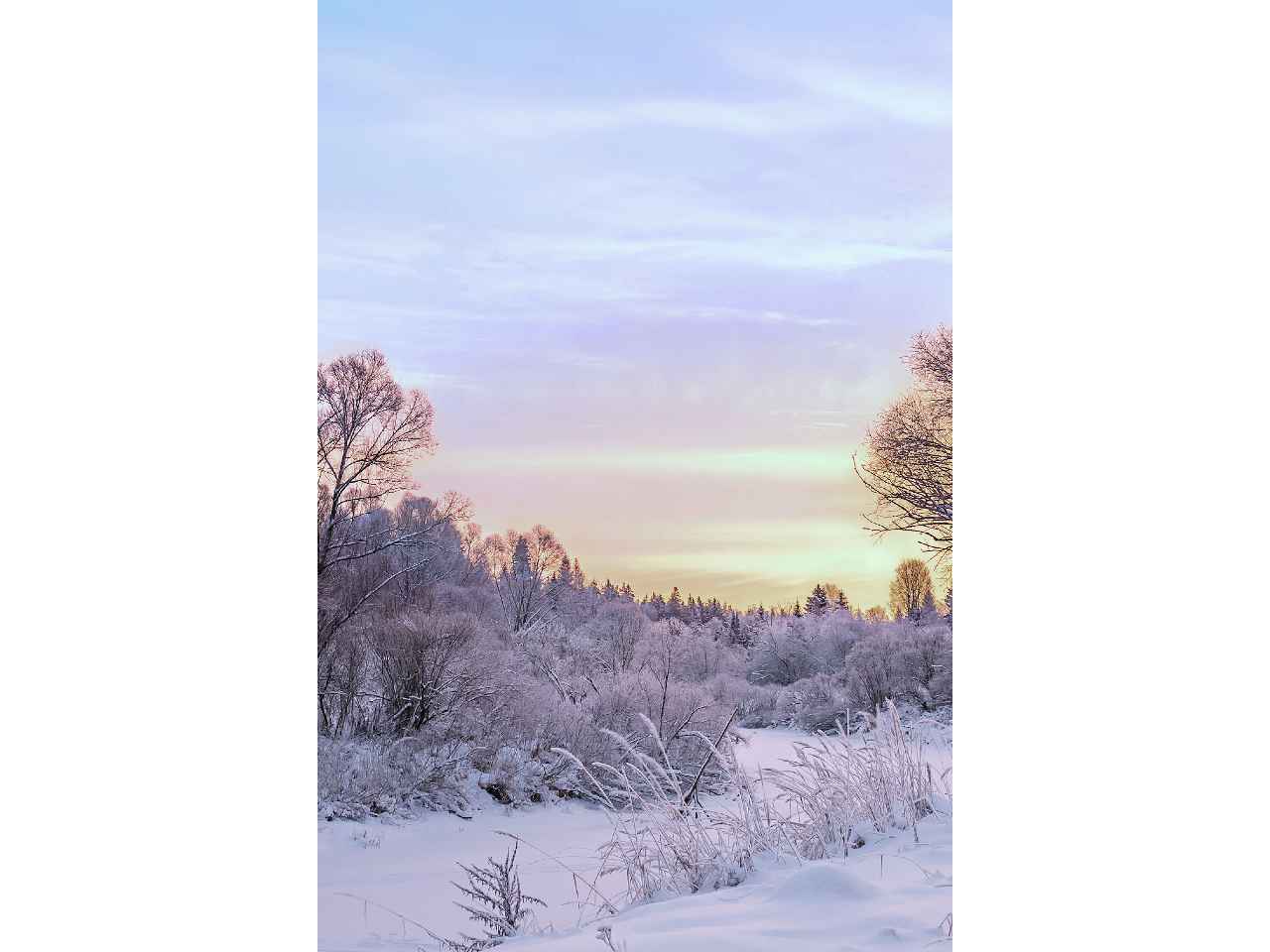 Fondale canvas 300x200cm tramonto