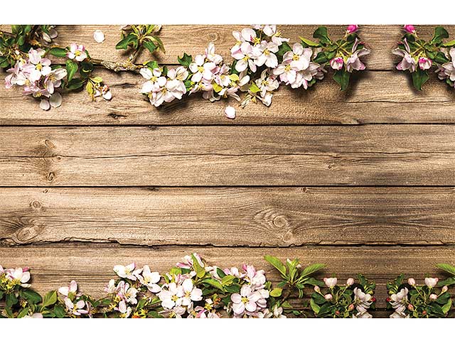 Tappeto wonder 50x100 gelsom.001i01602005