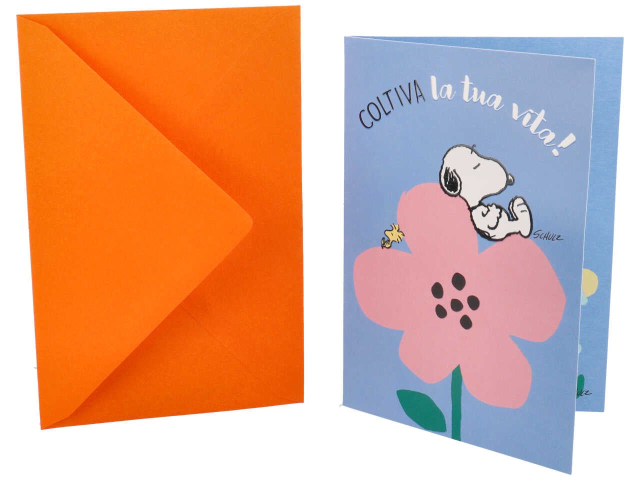 biglietto coltiva la tua vita