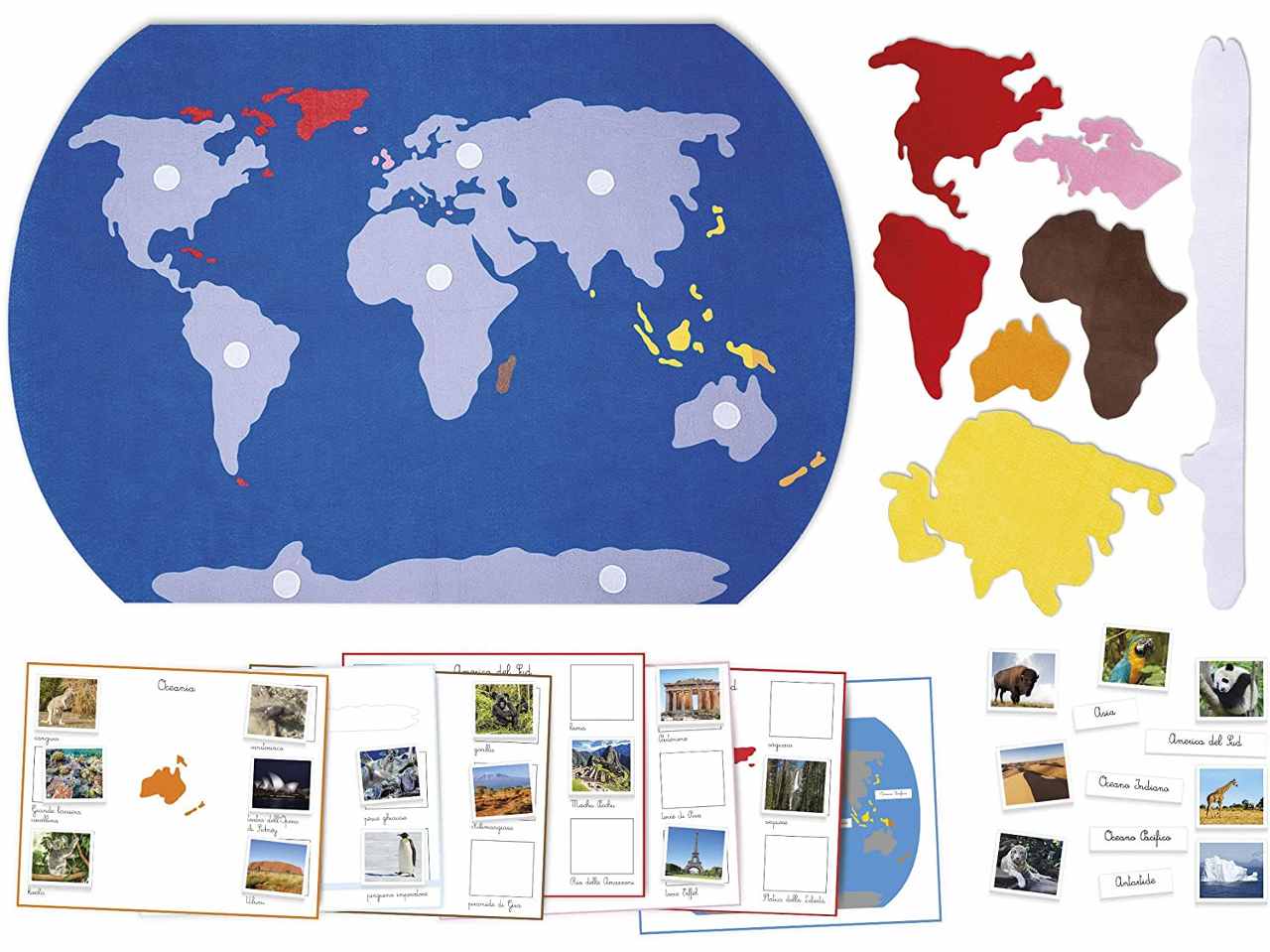 Montessori  il mondo 16371