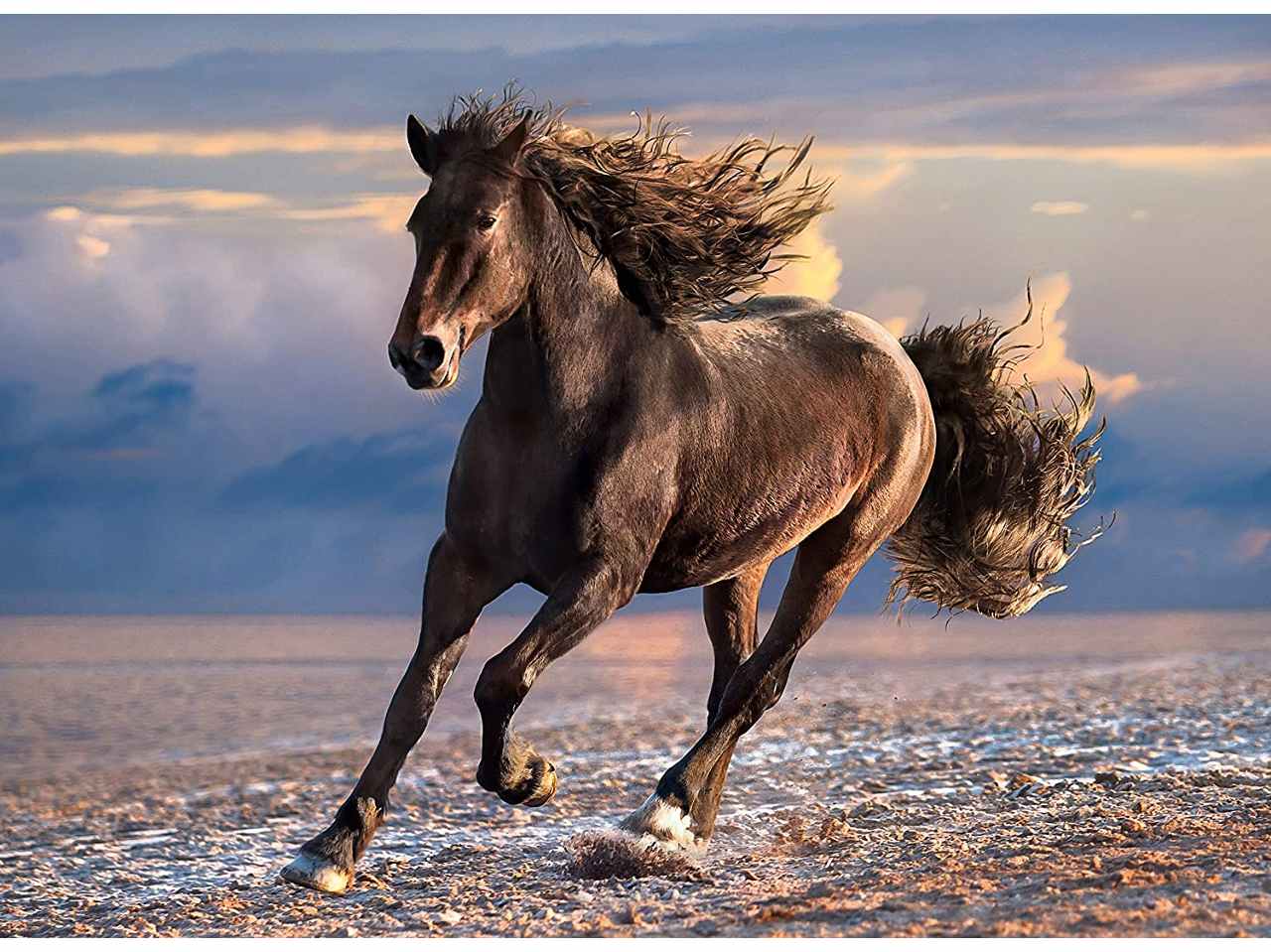 Puzzle 1000 hqc free horse 39420