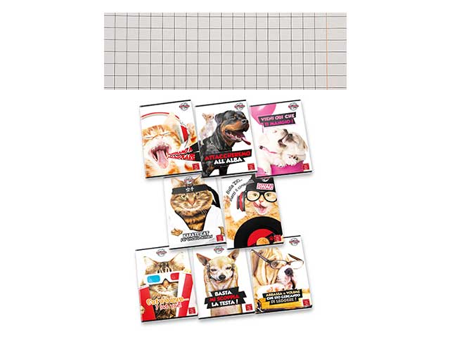 quaderno maxi 100gr friend 10pz rigatura q