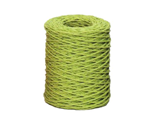 nastro pippy verde 2mmx100yds 21252