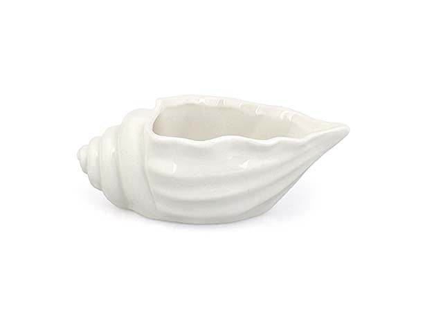 Conchiglia contenitore 1,3x7x4 21304m