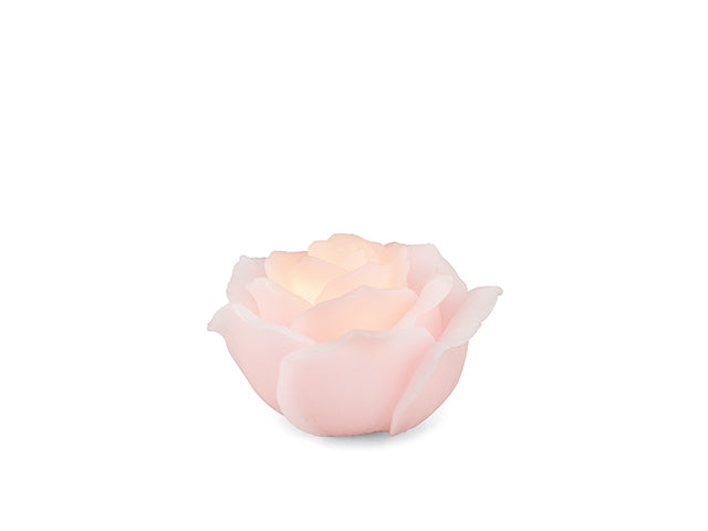 rosa cera c/led 24145m