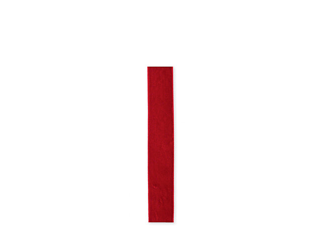 Nastro velluto 25mmx10mt 24870m