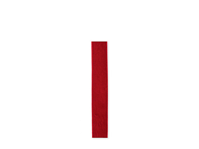 Nastro velluto 38mmx10mt 24871m