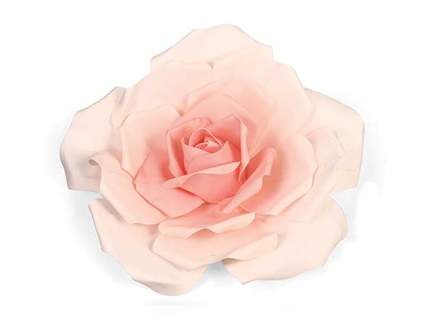 Rosa rasachiaro 70cm 25180m