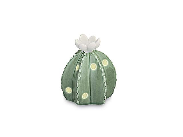 Cactus fiore bianco c/led 28323m