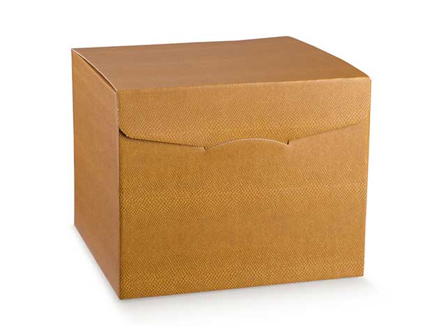 Scatola skin deger 44x34x37 38363