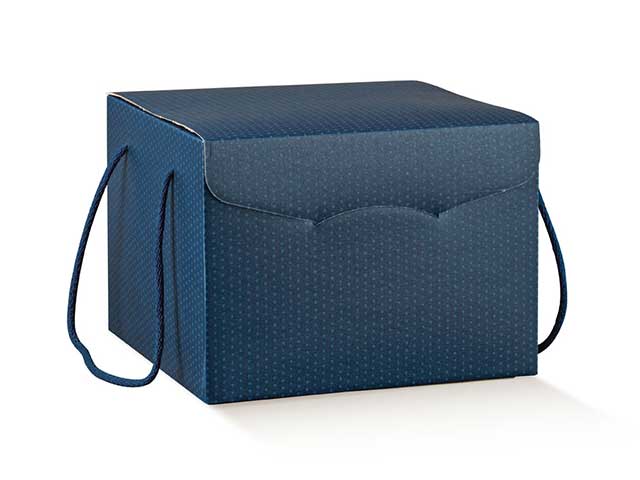Linea spot blu scatola 290x355x195 38510