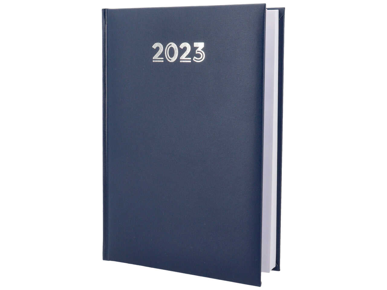 Agenda giornaliera 14,5x20,5 gommata blu