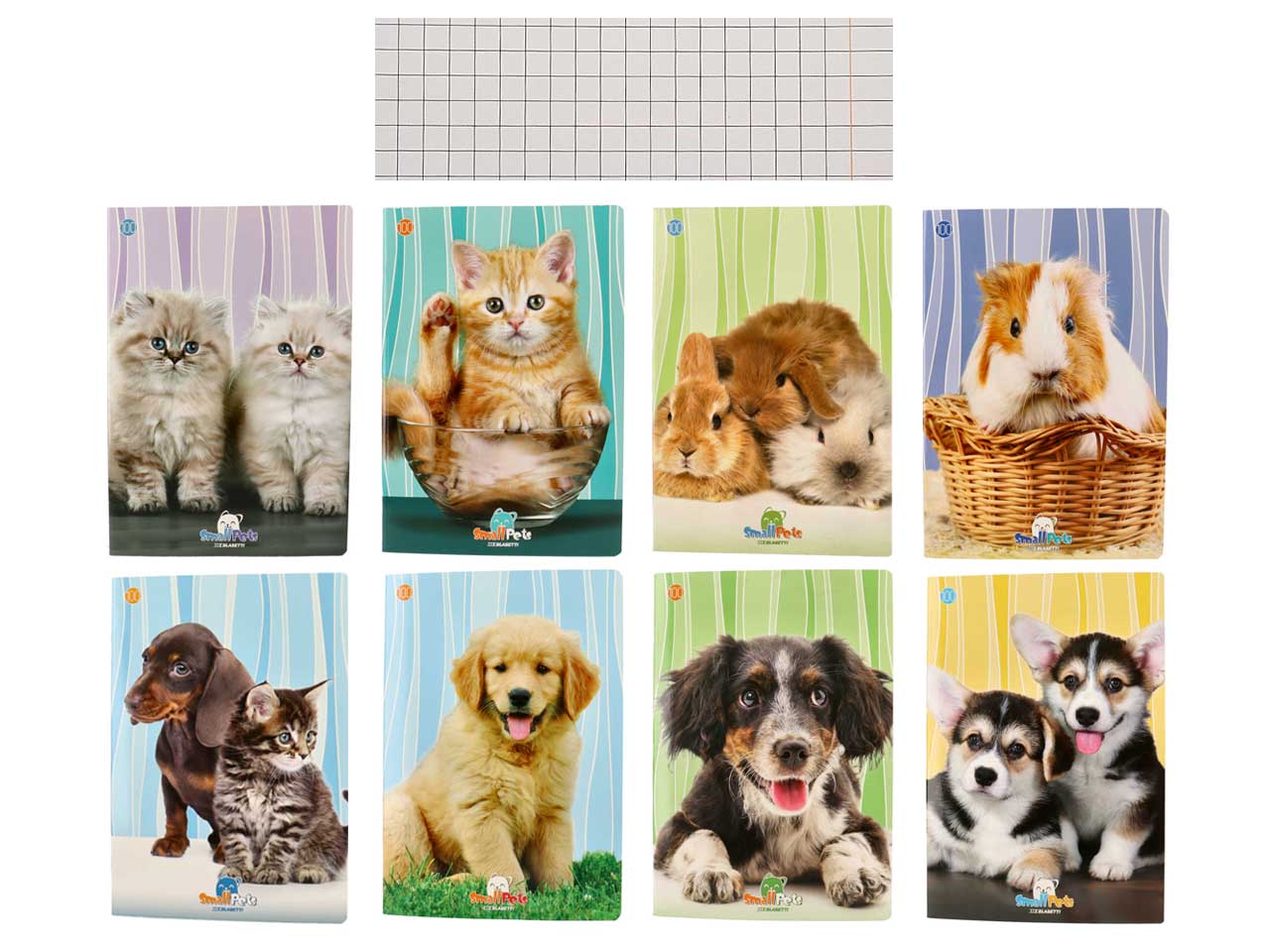 Quaderno maxi 100gr small pet rigo q ff18+1