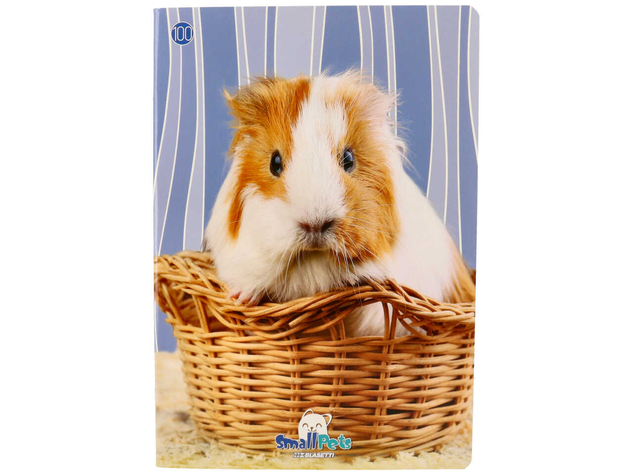 Quaderno maxi 100gr small pet rigo q ff18+1