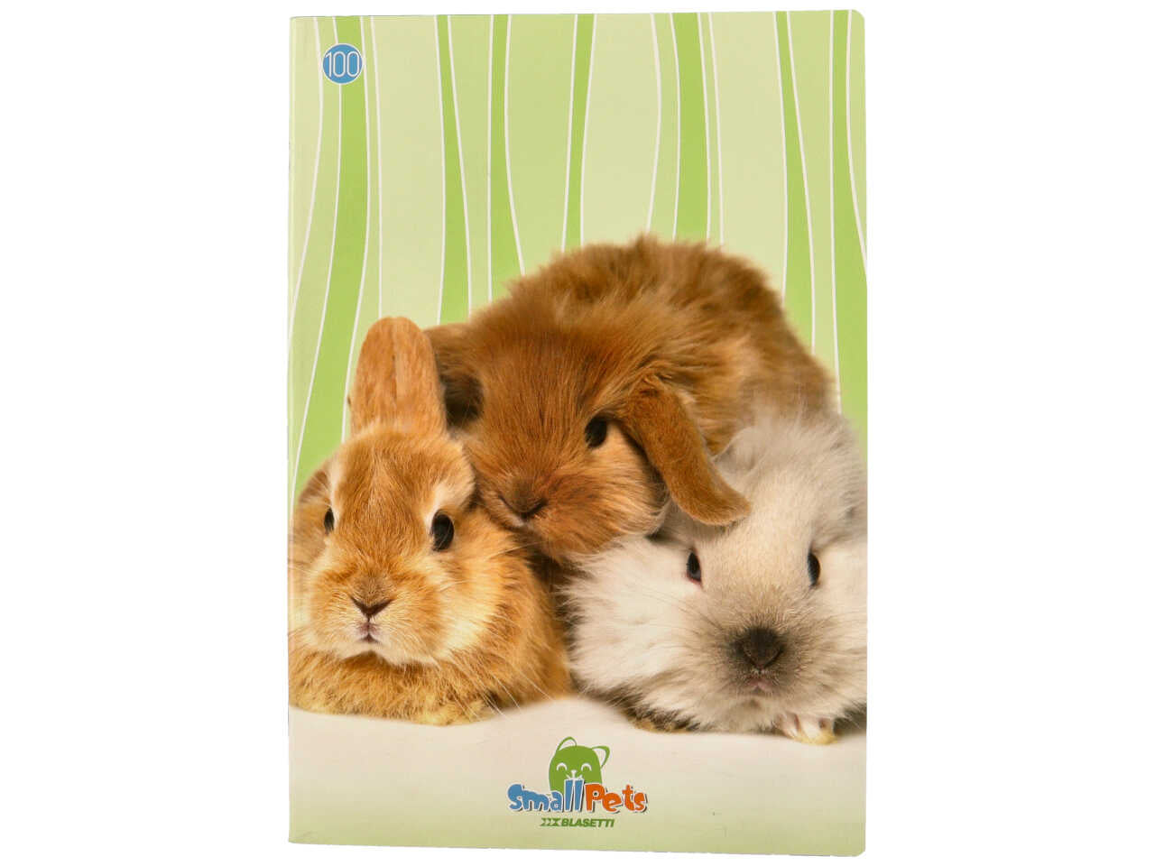 Quaderno maxi 100gr small pet rigo q ff18+1