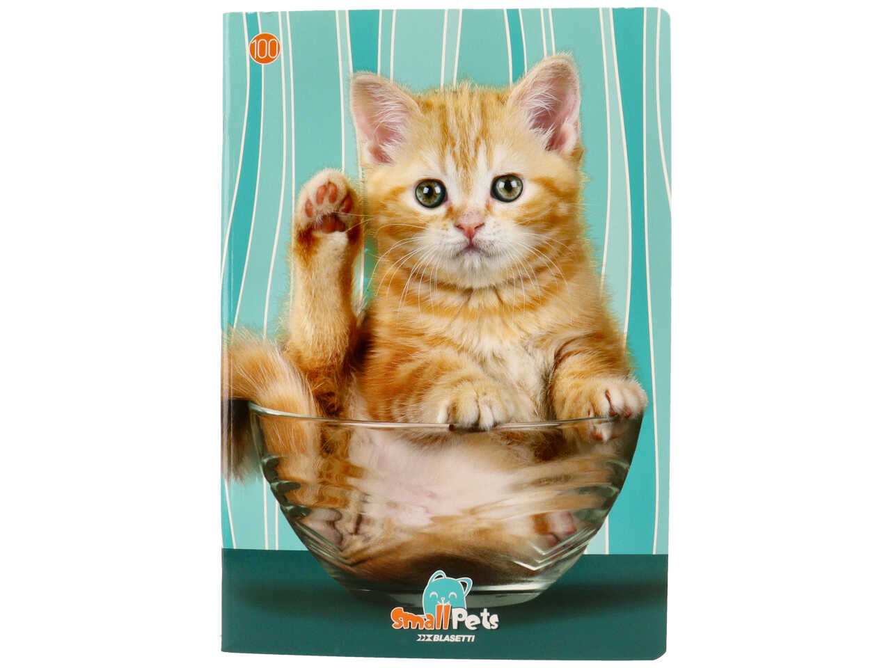 Quaderno maxi 100gr small pet rigo q ff18+1