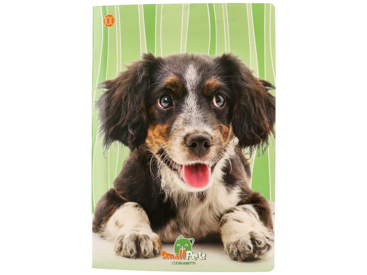 Quaderno maxi 100gr small pet rigo q ff18+1