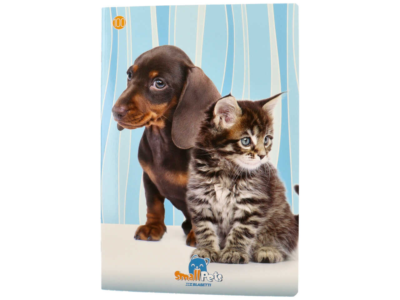 Quaderno maxi 100gr small pet rigo q ff18+1
