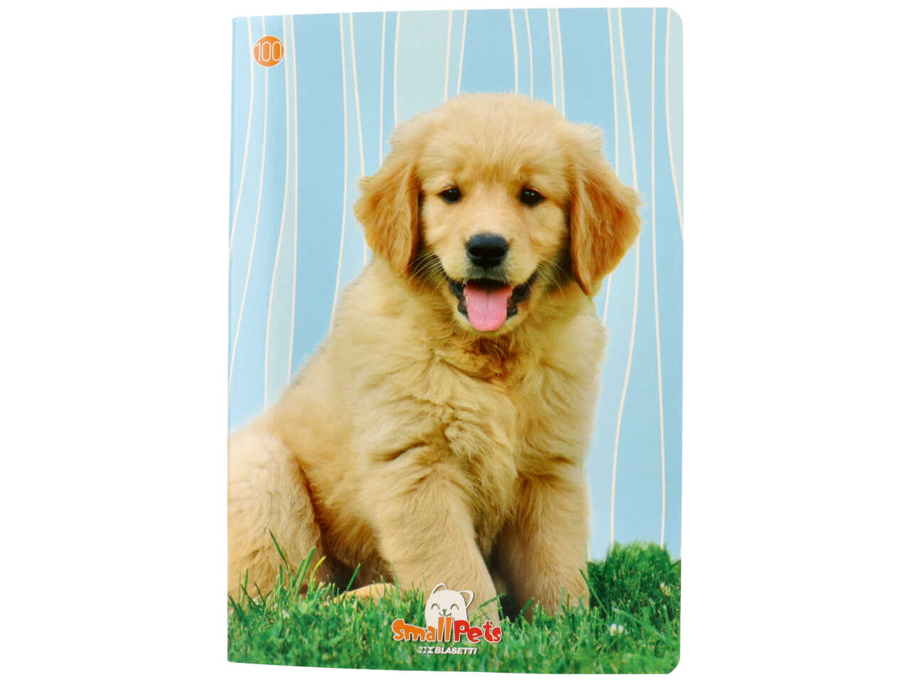 Quaderno maxi 100gr small pet rigo q ff18+1