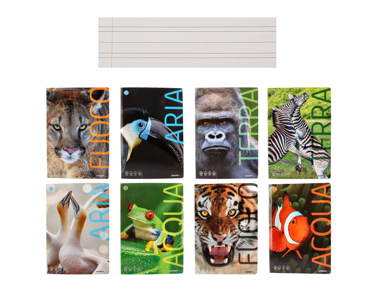 Quaderno maxi animali 100gr f18+1 b