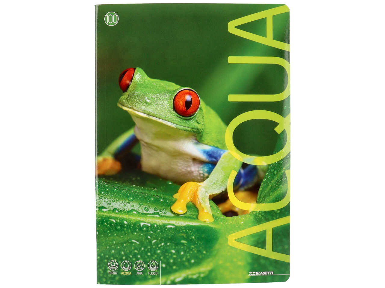 Quaderno maxi animali 100gr f18+1 b