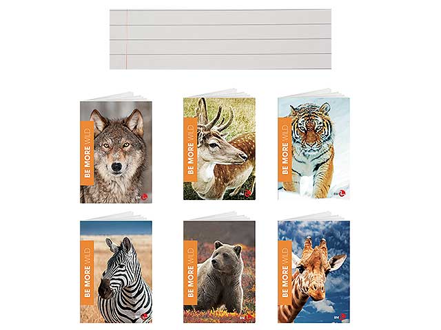 Quaderno a righe maxi A4 100gr rigatura C MISURA 210X297mm - la confezione comprende 10 quaderni - colori assortiti