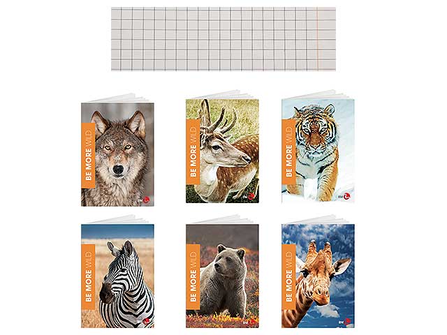 quaderno a quadretti bm arti maxi a4 100 gr 5m colori assortiti 210x297 mm