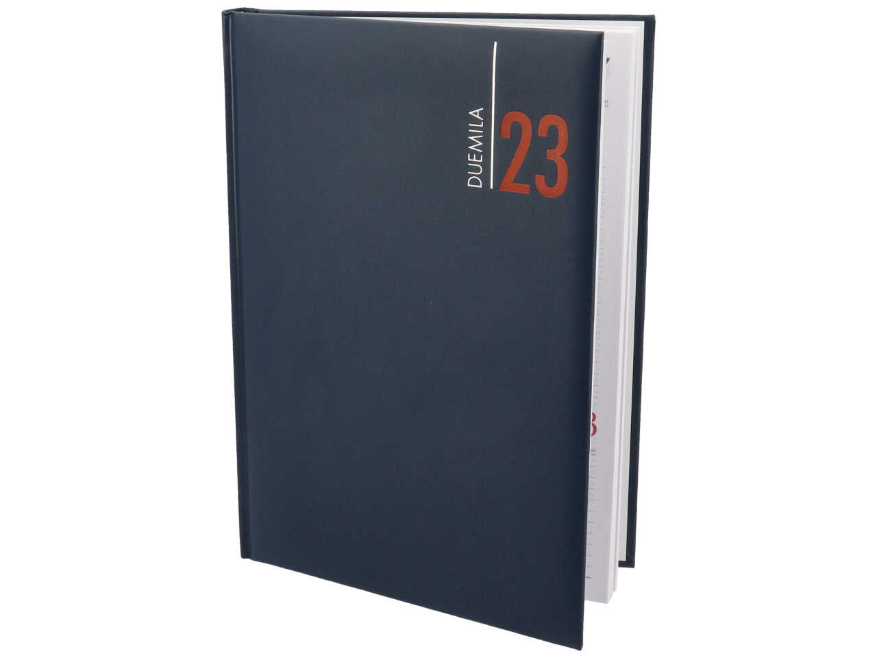 Agenda giornaliera 17x24 blu