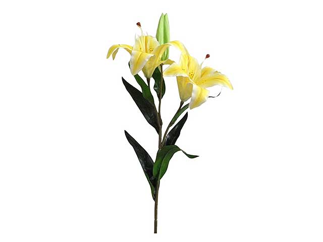 Lilium spray 3 biccioli giallo 6014